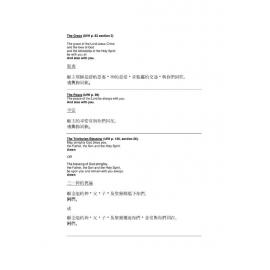 SLD Responses - Chinese