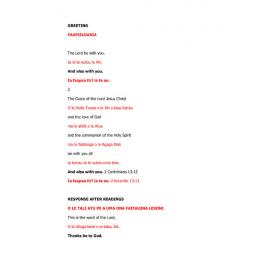 SLD Responses - Samoan