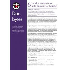 Doc.bytes 6 : In what areas do we hold diversity of beliefs?