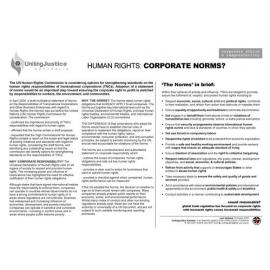 Human rights : corporate norms?