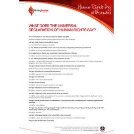 What does the Universal Declaration of Human Rights say?